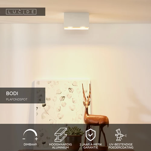 Lucide BODI - Plafondspot - 2xGU10 - Wit - USP
